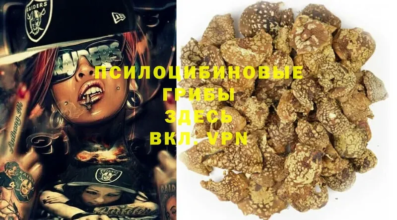 где можно купить   Бабушкин  Галлюциногенные грибы Magic Shrooms 